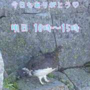 ヒメ日記 2025/08/02 00:21 投稿 ふう コレクション