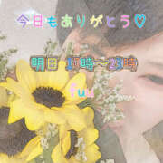 ヒメ日記 2025/08/20 01:19 投稿 ふう コレクション