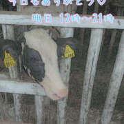 ヒメ日記 2025/09/27 01:20 投稿 ふう コレクション