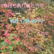 ヒメ日記 2025/10/22 00:13 投稿 ふう コレクション