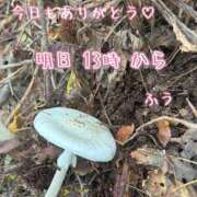 ヒメ日記 2025/10/24 23:49 投稿 ふう コレクション