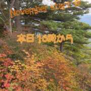 ヒメ日記 2025/11/01 08:08 投稿 ふう コレクション