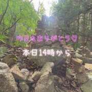 ヒメ日記 2025/11/02 08:08 投稿 ふう コレクション