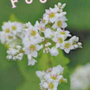 ヒメ日記 2025/11/05 23:55 投稿 ふう コレクション