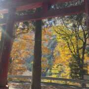 ヒメ日記 2025/11/09 08:14 投稿 ふう コレクション