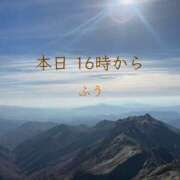 ヒメ日記 2025/11/11 08:08 投稿 ふう コレクション