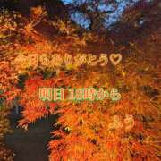 ヒメ日記 2025/11/21 00:28 投稿 ふう コレクション