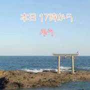 ヒメ日記 2025/11/22 07:16 投稿 ふう コレクション