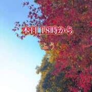 ヒメ日記 2025/11/25 08:17 投稿 ふう コレクション