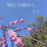 ヒメ日記 2026/02/21 18:00 投稿 ふう コレクション