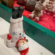 ヒメ日記 2024/12/24 09:00 投稿 ふう ストロベリーハウス