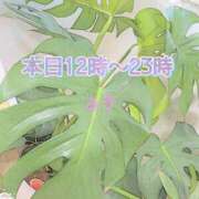 ヒメ日記 2024/12/30 10:44 投稿 ふう ストロベリーハウス