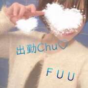 ヒメ日記 2025/02/01 16:03 投稿 ふう ストロベリーハウス