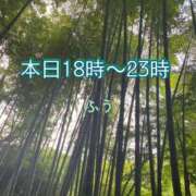 ヒメ日記 2025/03/10 16:01 投稿 ふう ストロベリーハウス