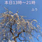 ヒメ日記 2025/03/11 11:10 投稿 ふう ストロベリーハウス