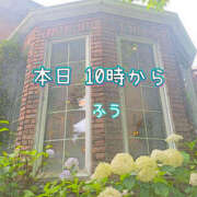 ヒメ日記 2025/03/15 08:49 投稿 ふう ストロベリーハウス