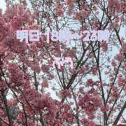 ヒメ日記 2025/03/27 20:07 投稿 ふう ストロベリーハウス