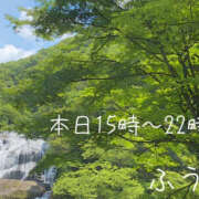 ヒメ日記 2025/04/02 13:27 投稿 ふう ストロベリーハウス