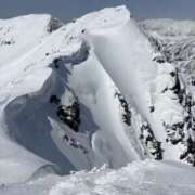 ヒメ日記 2025/04/07 12:20 投稿 ふう ストロベリーハウス