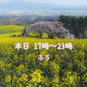 ヒメ日記 2025/04/08 15:40 投稿 ふう ストロベリーハウス