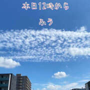 ヒメ日記 2025/04/27 10:47 投稿 ふう ストロベリーハウス