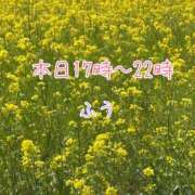 ヒメ日記 2025/04/30 15:44 投稿 ふう ストロベリーハウス
