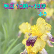 ヒメ日記 2025/06/13 20:29 投稿 ふう ストロベリーハウス