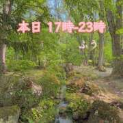 ヒメ日記 2025/06/16 15:59 投稿 ふう ストロベリーハウス