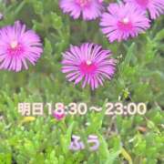 ヒメ日記 2025/07/03 23:04 投稿 ふう ストロベリーハウス