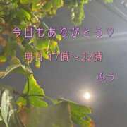 ヒメ日記 2025/07/16 00:10 投稿 ふう ストロベリーハウス