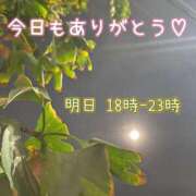 ヒメ日記 2025/07/21 19:10 投稿 ふう ストロベリーハウス