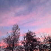 ヒメ日記 2025/08/03 08:40 投稿 ふう ストロベリーハウス