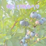 ヒメ日記 2025/08/07 18:25 投稿 ふう ストロベリーハウス