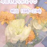 ヒメ日記 2025/08/29 00:45 投稿 ふう ストロベリーハウス