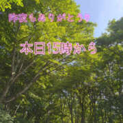 ヒメ日記 2025/09/20 12:40 投稿 ふう ストロベリーハウス