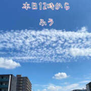 ヒメ日記 2025/09/23 10:21 投稿 ふう ストロベリーハウス