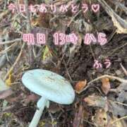 ヒメ日記 2025/10/24 23:41 投稿 ふう ストロベリーハウス