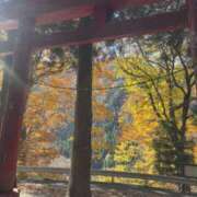 ヒメ日記 2025/11/09 06:40 投稿 ふう ストロベリーハウス