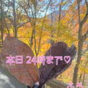 ヒメ日記 2025/11/09 20:41 投稿 ふう ストロベリーハウス