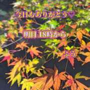 ヒメ日記 2025/11/18 23:40 投稿 ふう ストロベリーハウス