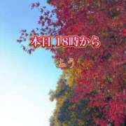 ヒメ日記 2025/11/25 08:21 投稿 ふう ストロベリーハウス