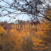 ヒメ日記 2025/12/04 19:01 投稿 ふう ストロベリーハウス