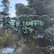 ヒメ日記 2025/12/23 17:21 投稿 ふう ストロベリーハウス