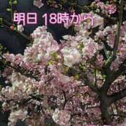 ヒメ日記 2026/02/24 19:40 投稿 ふう ストロベリーハウス