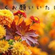 ヒメ日記 2024/09/20 08:45 投稿 なえ 奥鉄オクテツ兵庫