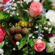 ヒメ日記 2024/12/19 10:46 投稿 なえ 奥鉄オクテツ兵庫