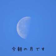 ヒメ日記 2025/02/20 18:36 投稿 なえ 奥鉄オクテツ兵庫