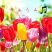 ヒメ日記 2025/02/27 10:23 投稿 なえ 奥鉄オクテツ兵庫