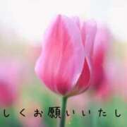 ヒメ日記 2025/03/10 09:38 投稿 なえ 奥鉄オクテツ兵庫