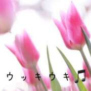ヒメ日記 2025/03/18 11:55 投稿 なえ 奥鉄オクテツ兵庫